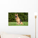 German Shepherd Wall Mural