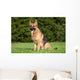 German Shepherd Wall Mural