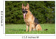 German Shepherd Wall Mural