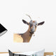 Goat Wall Decal