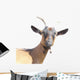 Goat Wall Decal