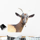 Goat Wall Decal