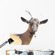 Goat Wall Decal
