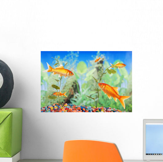 Fishtank With Goldfish Wall Mural