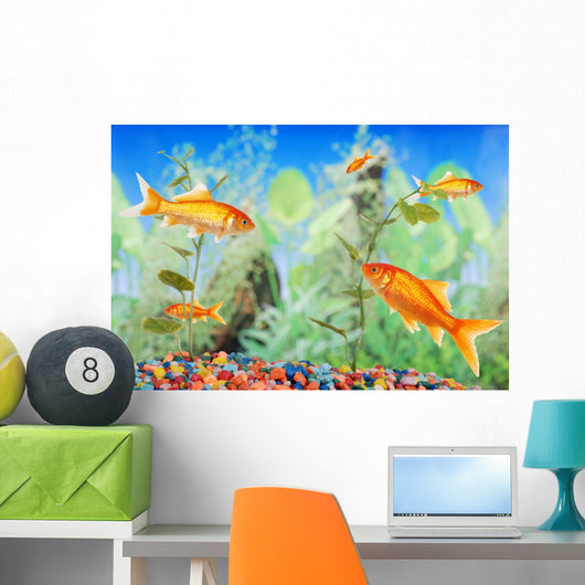 Fishtank With Goldfish Wall Mural