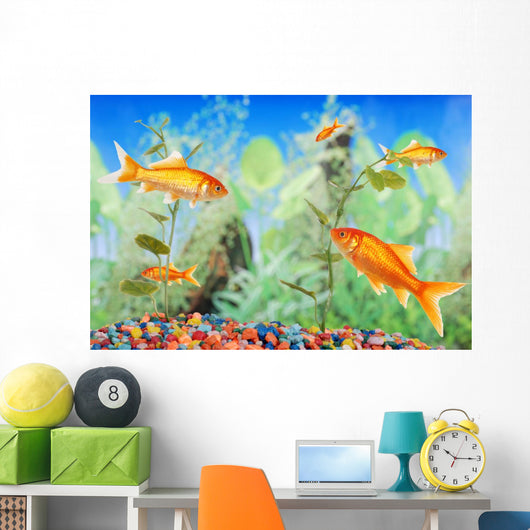 Fishtank With Goldfish Wall Mural