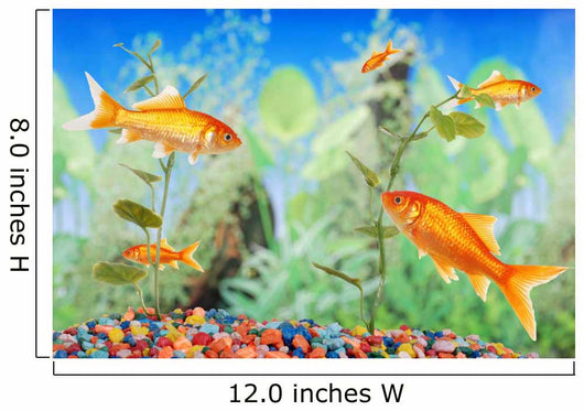 Fishtank With Goldfish Wall Mural