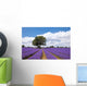 Beautiful lavender field in the summer Wall Mural