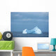 Antarctic Ice Island Wall Decal
