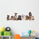 Large Group of Puppies Wall Decal