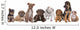 Large Group of Puppies Wall Decal