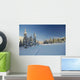 winter forest in mountains, ski-track Wall Mural