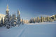 winter forest in mountains, ski-track Wall Mural