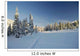 winter forest in mountains, ski-track Wall Mural
