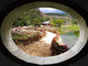 Scenery Park Lijiang China