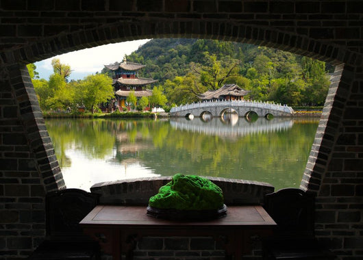 Scenery Park Lijiang China
