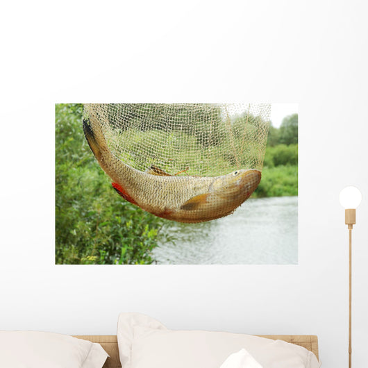 Fish Net