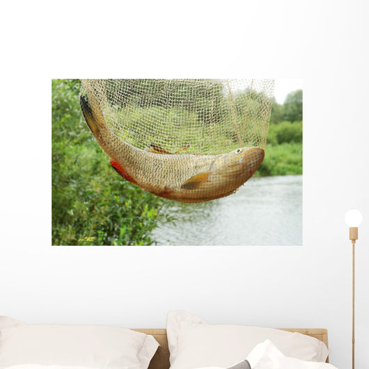Fish Net