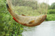 Fish Net
