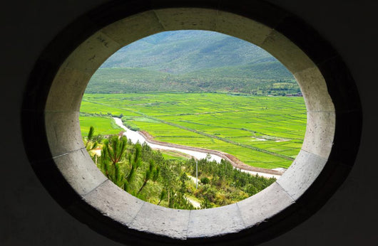 Scenery Park Lijiang China