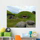 Knowth Wall Mural