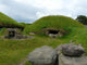 Knowth Wall Mural