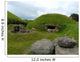 Knowth Wall Mural