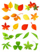 Leafy Leaves Leaf Wall Stickers