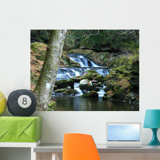 Winter Waterfall Stream Wall Mural