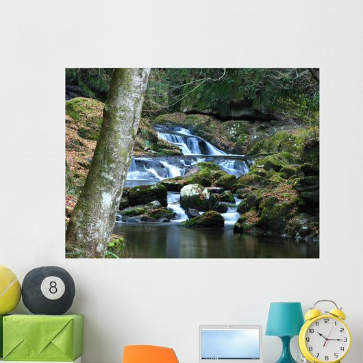 Winter Waterfall Stream Wall Mural