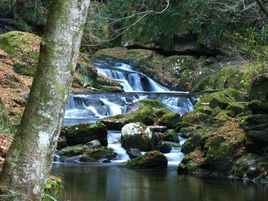 Winter Waterfall Stream Wall Mural