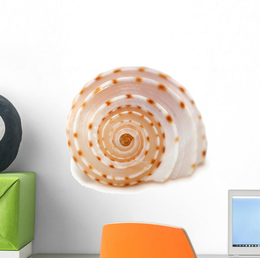 Shell
