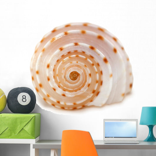Shell