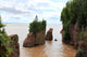 Hopewell Rocks, New Brunswick, Canada Wall Mural
