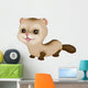 Baby Ferret Wall Mural