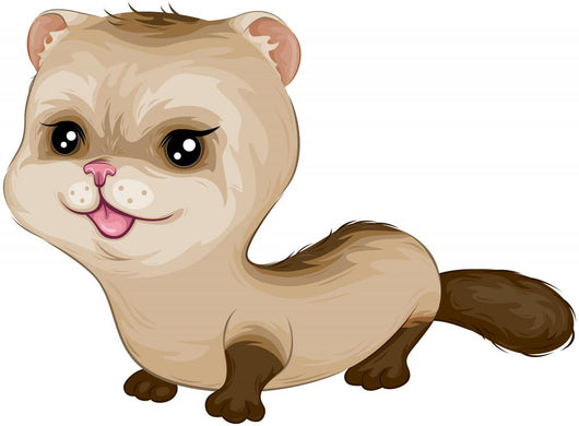 Baby Ferret Wall Mural
