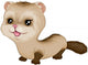 Baby Ferret Wall Mural
