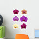 Orchid Collection Wall Decal