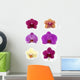 Orchid Collection Wall Decal
