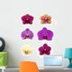 Orchid Collection Wall Decal