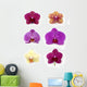Orchid Collection Wall Decal