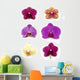 Orchid Collection Wall Decal