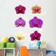 Orchid Collection Wall Decal