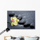 spa concept Wall Mural
