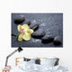 spa concept Wall Mural