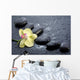 spa concept Wall Mural