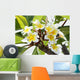 Frangipani Branch