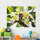Frangipani Branch