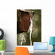 Draining Water Wall Decal