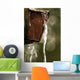 Draining Water Wall Decal